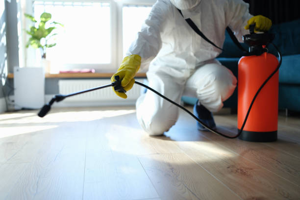 Reliable Odor Removal contractor in Strathmore, CA by Trauma Clean Pros